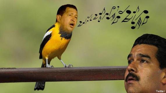 A detta di Maduro, Chávez gli sarebbe apparso nella forma di un uccellino, cantando - hugo-pajarito